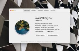 How Old is My Mac (2 Easy Ways To Find) - Gadgets Feed