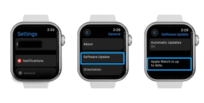 Apple Watch software Update Settings