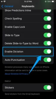 Enable Dictation option on Iphone