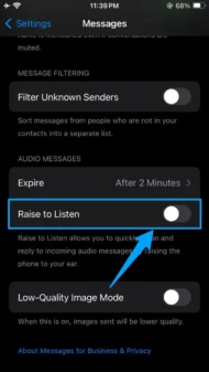 Raise to Listen Option turned off Iphone