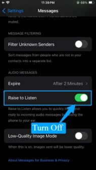 Raise to listen option Turn On in Iphone