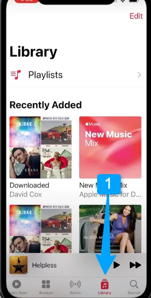 apple music library